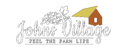 Johns Village