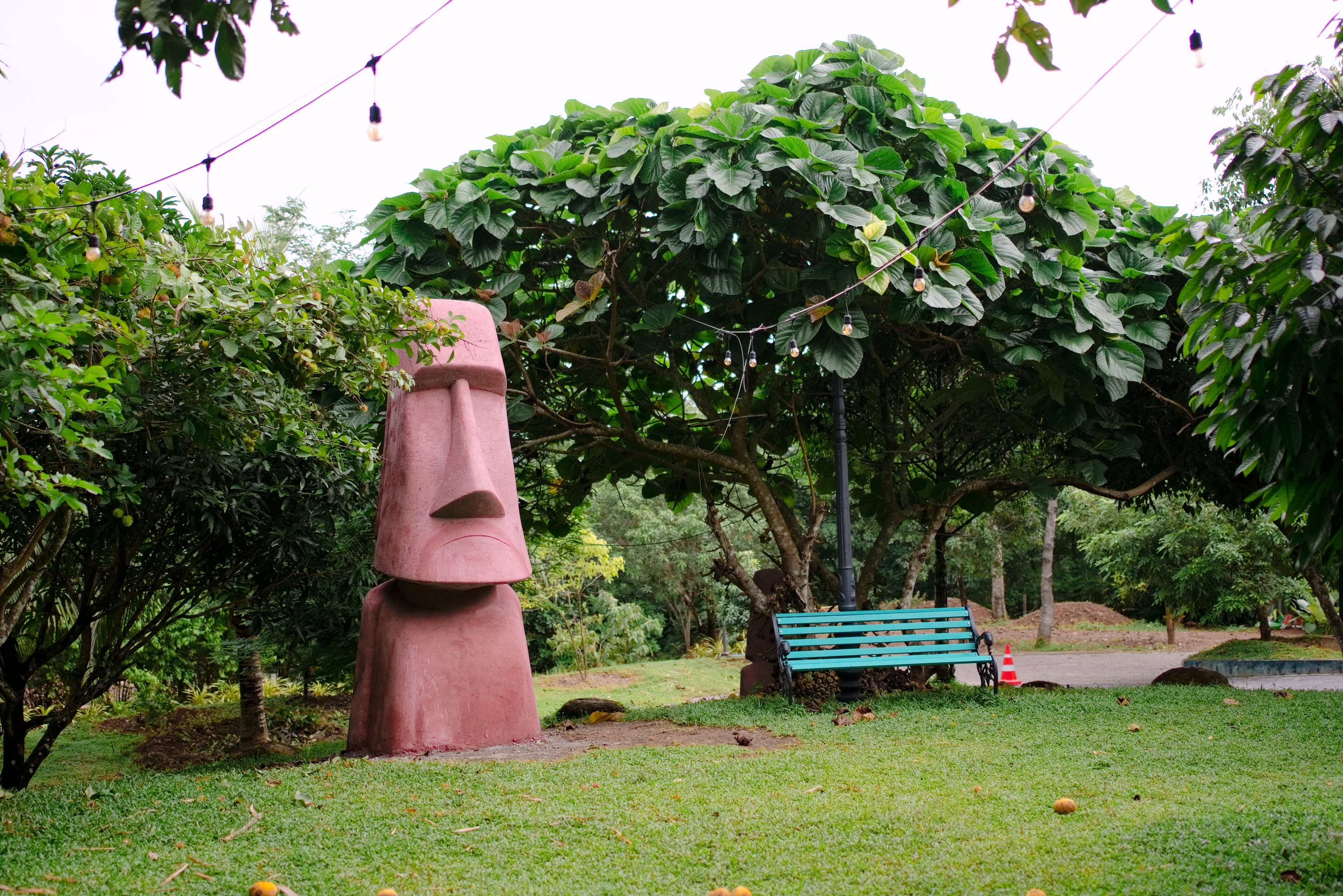 Resort in Kochi